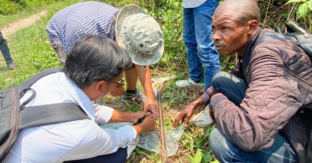 Vietnamese experts transformeren onvruchtbare grond in Afrika in velden vol rijst.