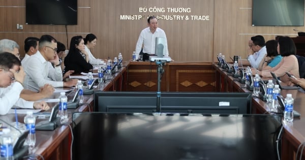 Het Ministerie van Industrie en Handel werkt samen met de Southern Business Association.