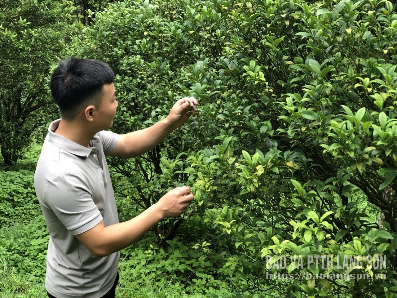 z6076474217342,6d2feb1a3c2d02110c31c587eb1e6e61,17100614.jpg