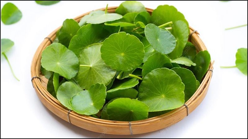 Come prevenire prurito e orticaria in primavera - Foto 2. Cách phòng chứng ngứa da, nổi mề đay vào mùa xuân- Ảnh 2.