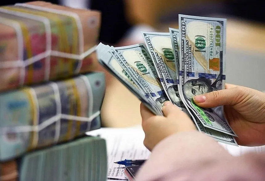 Đồng USD biến động doanh nghiệp nhập khẩu tìm cách ứng khó - Ảnh 1.