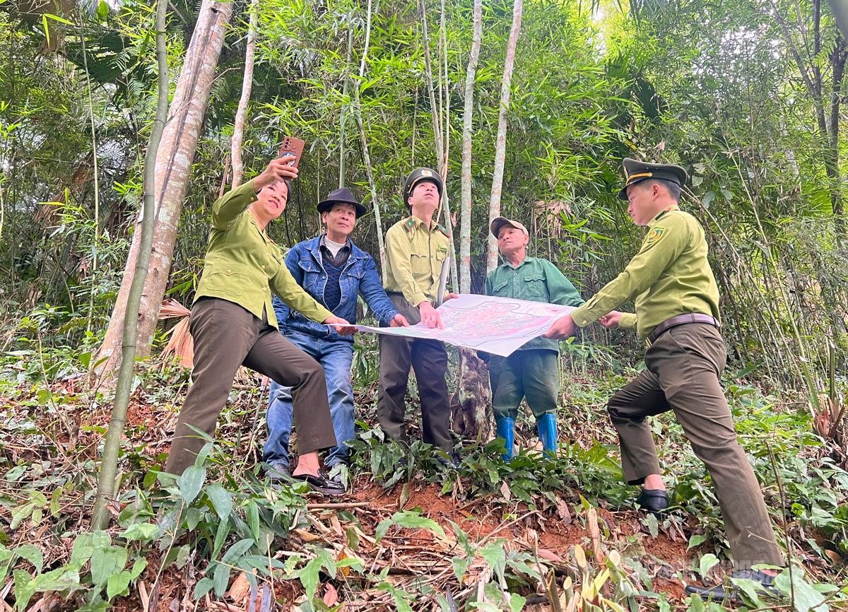 Bosbouwambtenaren uit Regio VII patrouilleren samen met lokale bewoners om de huidige toestand van het bos te beoordelen.