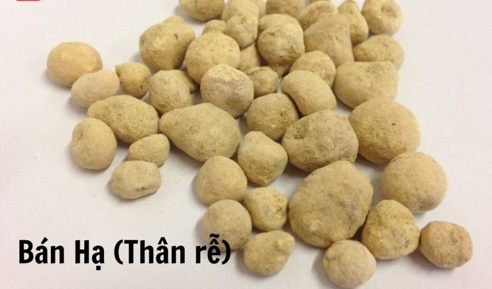 7 món ăn, bài thuốc giúp giảm trào ngược dạ dày - thực quản- Ảnh 1.