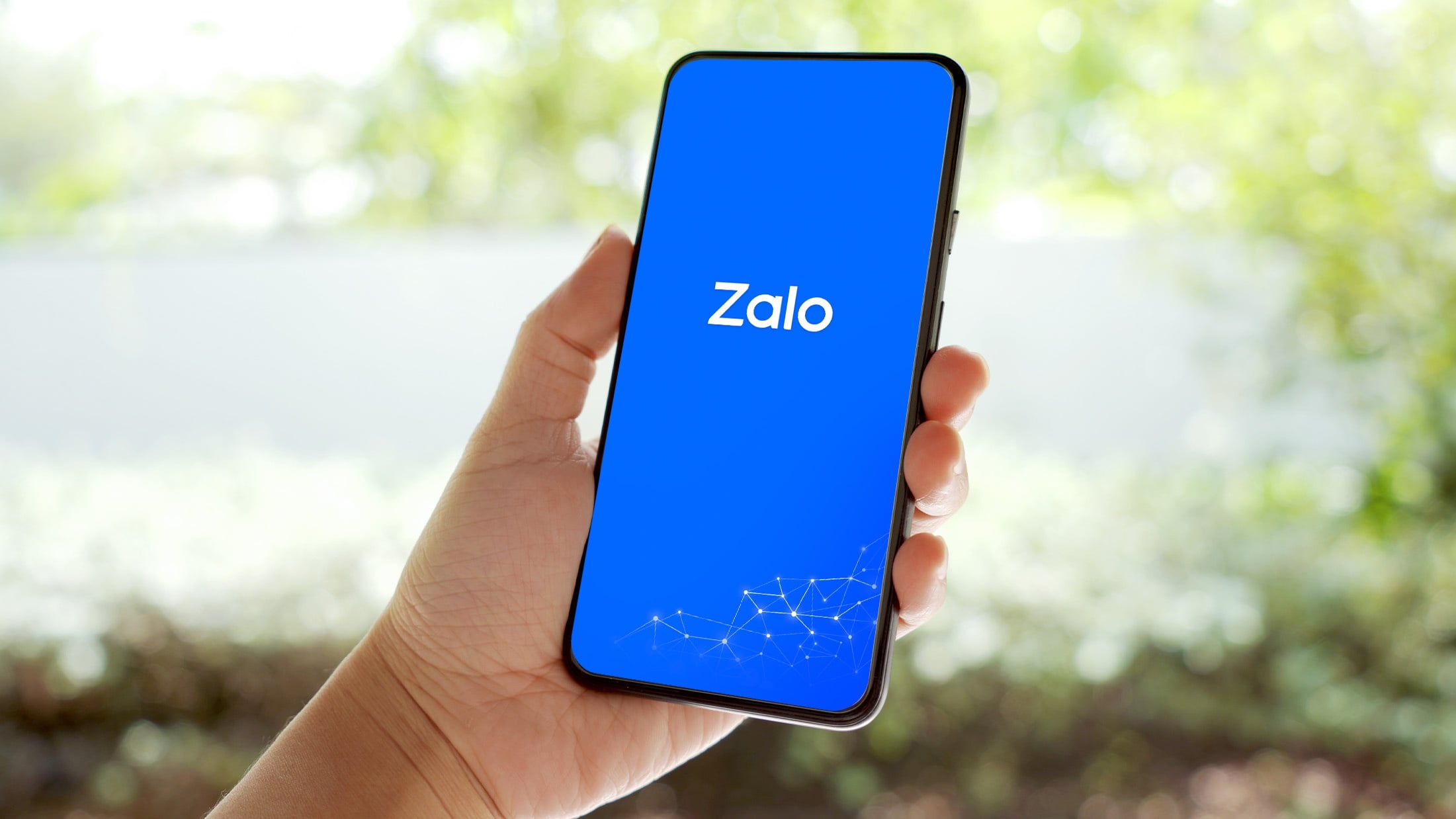 Zalo číslo 6