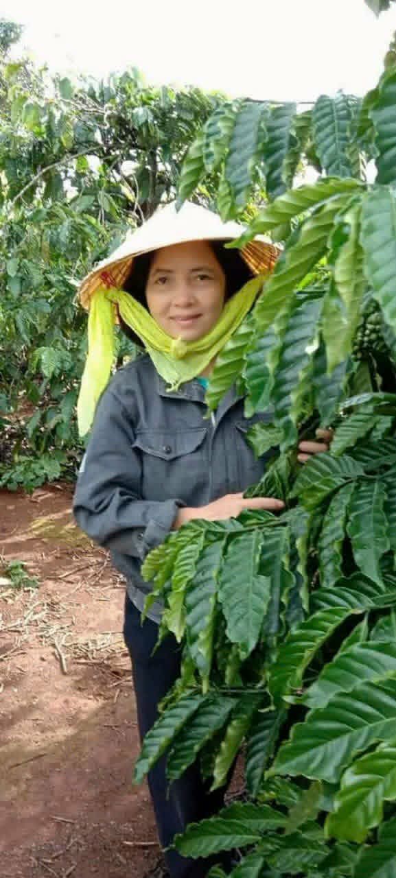 Hương cà phê trong tôi - Ảnh 2.