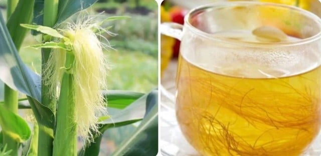 Una bevanda che favorisce la salute dei reni e che pochi conoscono - Immagine 1. Loại nước hỗ trợ dưỡng thận ít người biết - Ảnh 1.