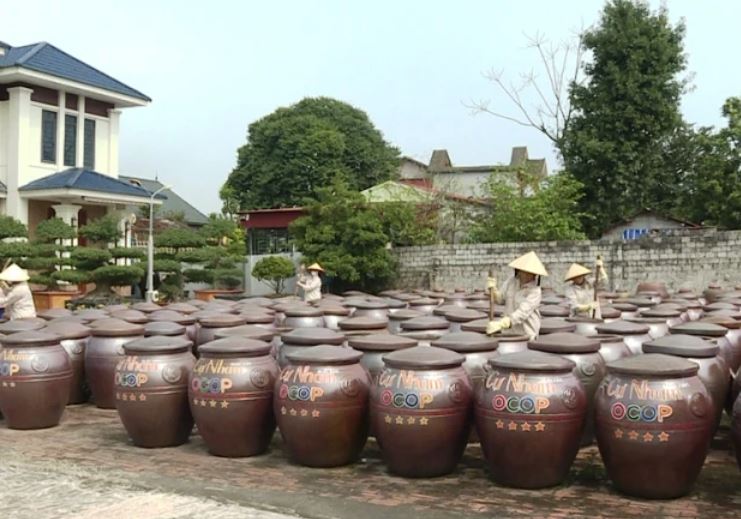 Hơn 300 chum sành được Công ty TNHH nước mắm Cự Nham, xã Tiên Trang đầu tư chế biến nước mắm. Ảnh: Báo Thanh Hóa.