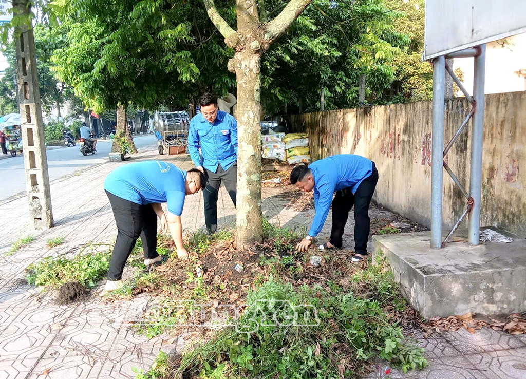 L'Unione Giovanile del comune di Vu Quy ha lanciato una campagna per la pulizia dell'ambiente.