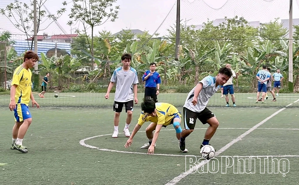 Áo xanh ở Cao đẳng y Phú Thọ