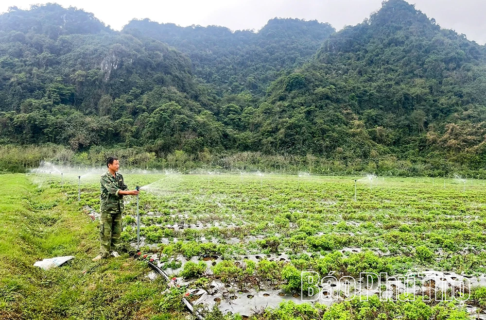 Applying Science and Technology to Production, Improving the Quality of Agricultural Products.