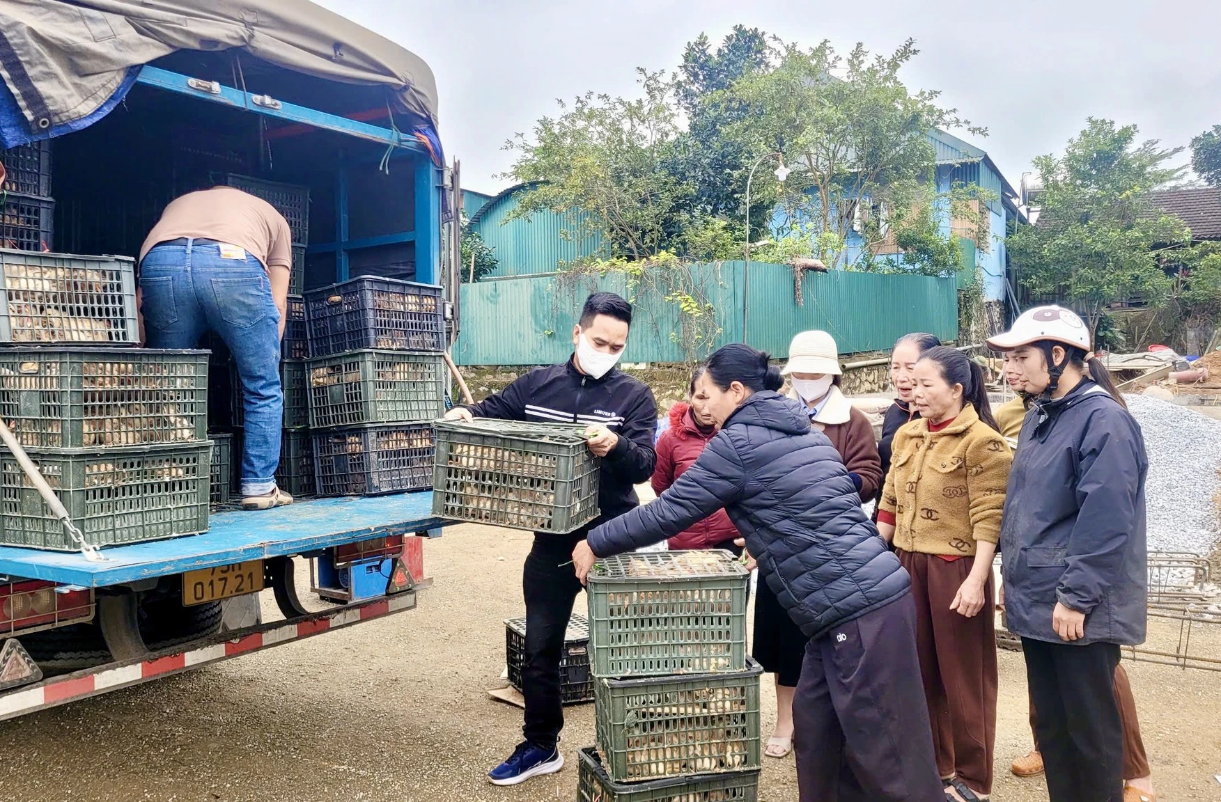 Ahli persatuan peladang di komune Tuyen Lam menerima sokongan dalam bentuk ternakan - Foto: X.V