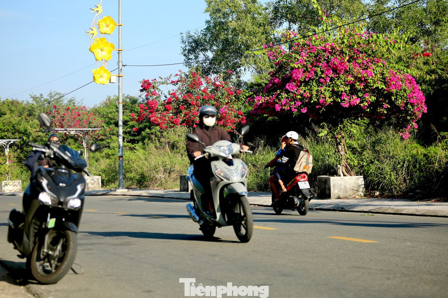 Non solo nel villaggio di pescatori, ma anche lungo via Vo Thi Sau (quartiere Nam Nha Trang) hanno iniziato a fiorire le bouganville.