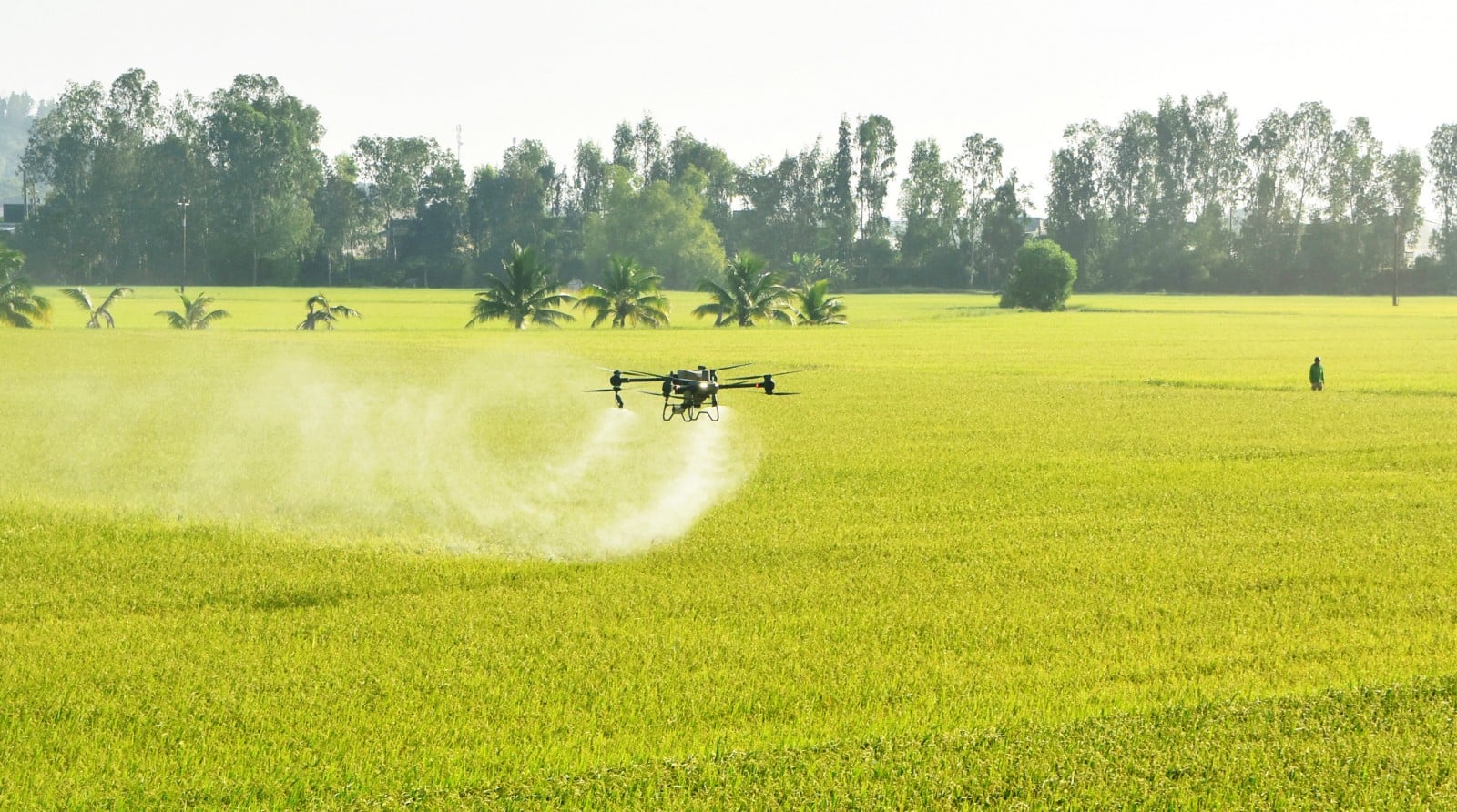 L'agricoltura accelera grazie alla tecnologia.