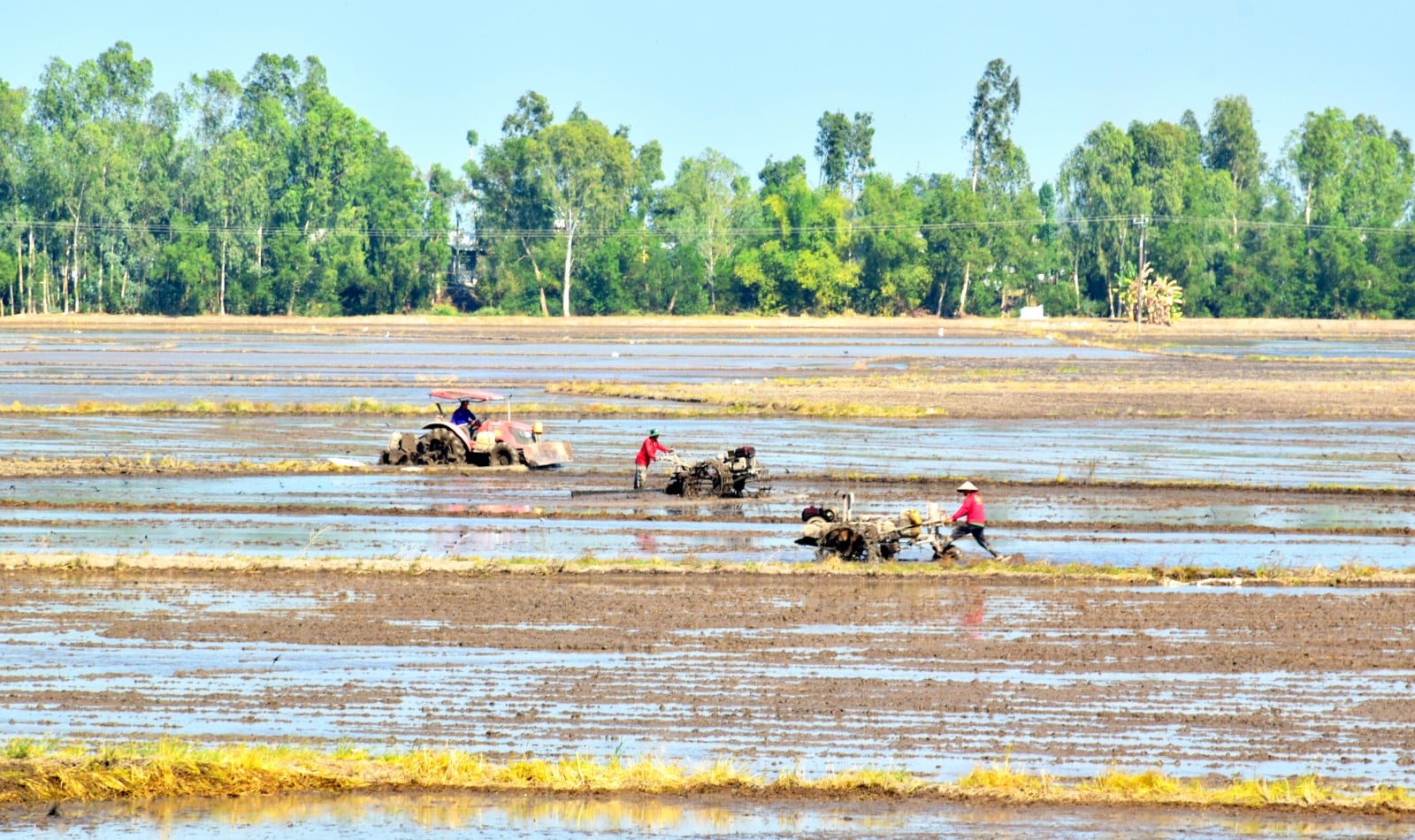 L'agricoltura accelera grazie alla tecnologia.