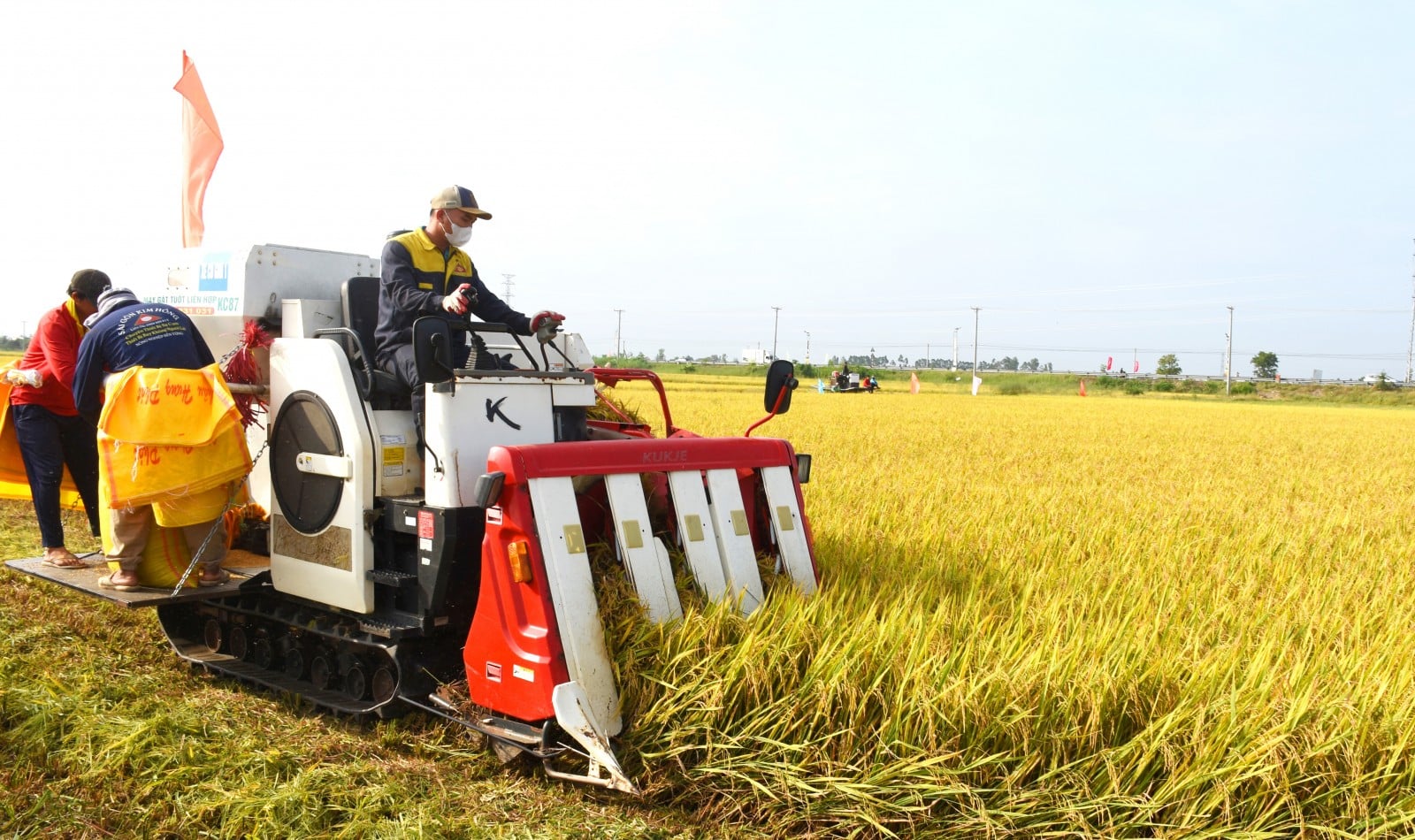 L'agricoltura accelera grazie alla tecnologia.