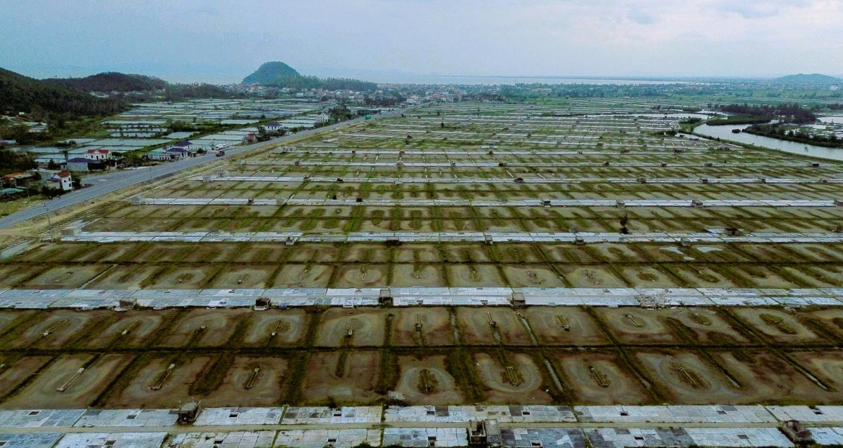 Tín dụng xanh mở lối phát triển bền vững vùng Tây Nghệ An