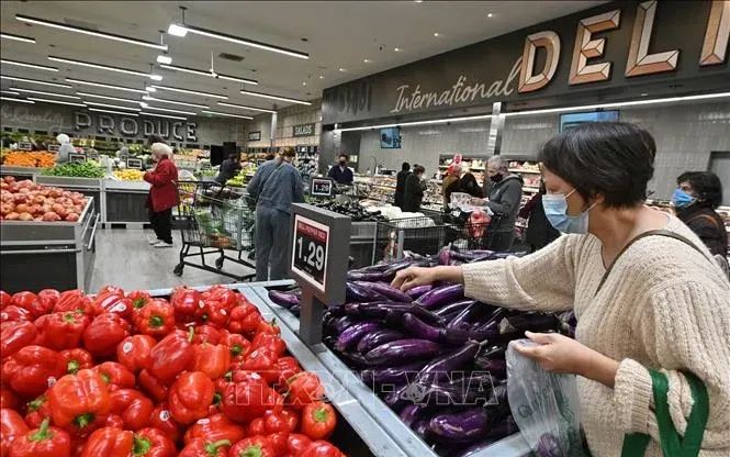 I prezzi dei beni importati negli Stati Uniti hanno registrato un forte aumento. Giá hàng hóa nhập khẩu vào Mỹ ghi nhận mức tăng mạnh