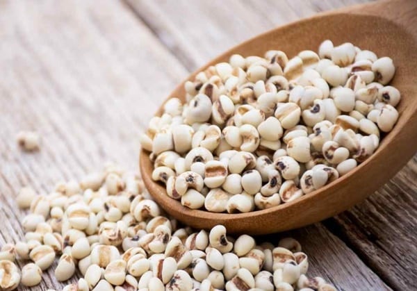 4 piatti – rimedi per rafforzare la milza e migliorare la digestione - Foto 3. 4 món ăn – bài thuốc kiện tỳ, cải thiện tiêu hóa- Ảnh 3.