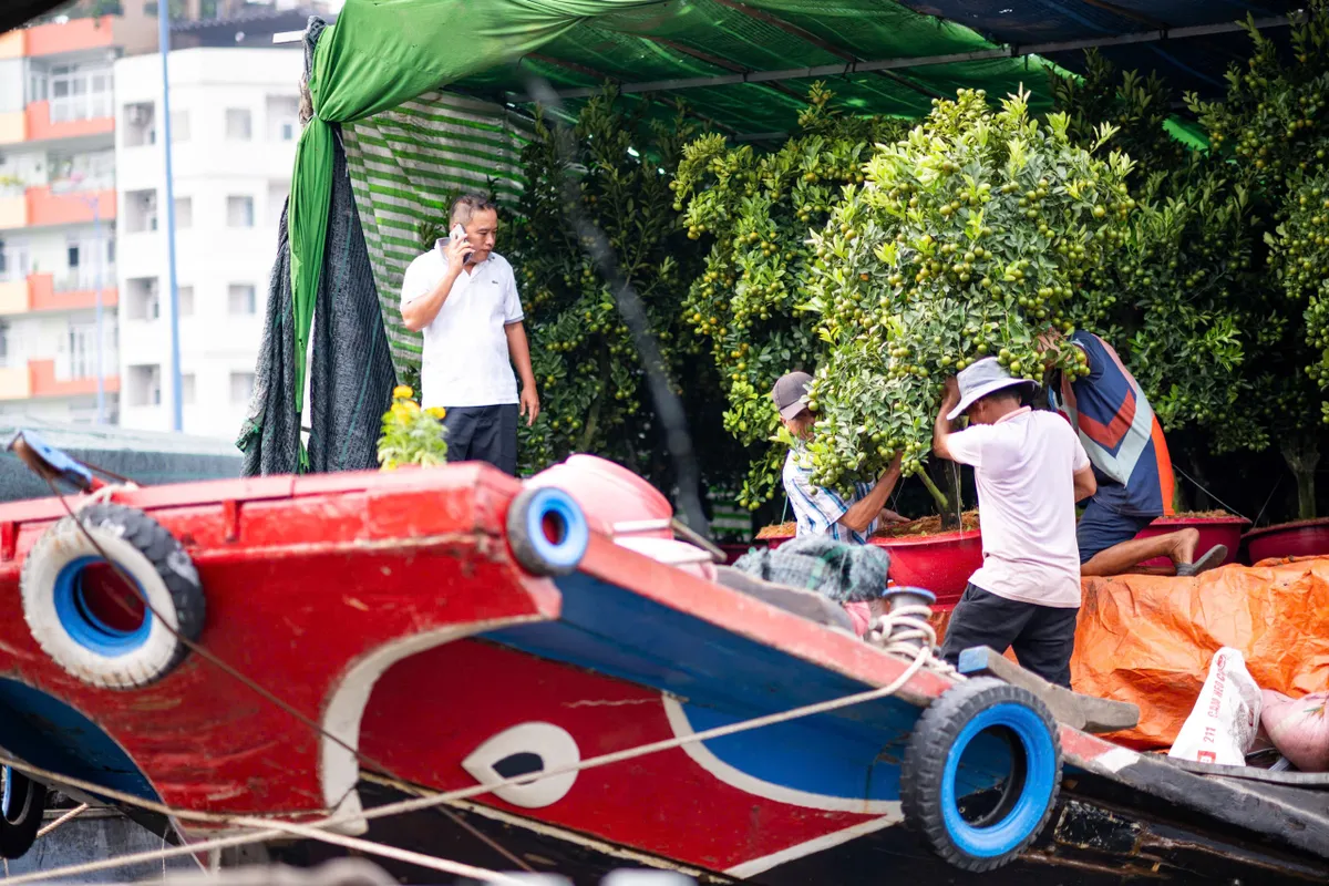 Thương hồ bến Bình Đông: Dòng chảy ký ức- Ảnh 6.