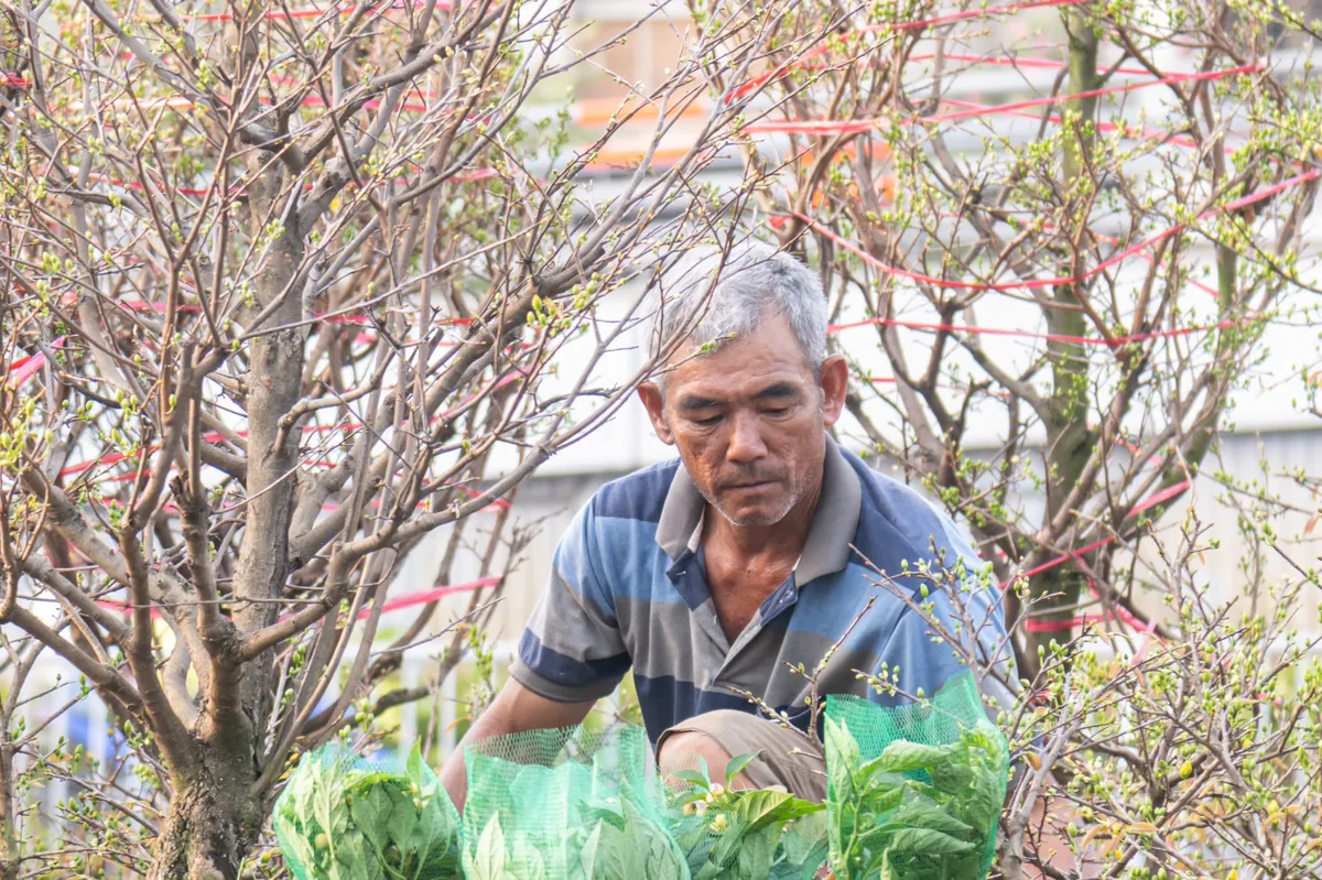 Thương hồ bến Bình Đông: Dòng chảy ký ức- Ảnh 11.