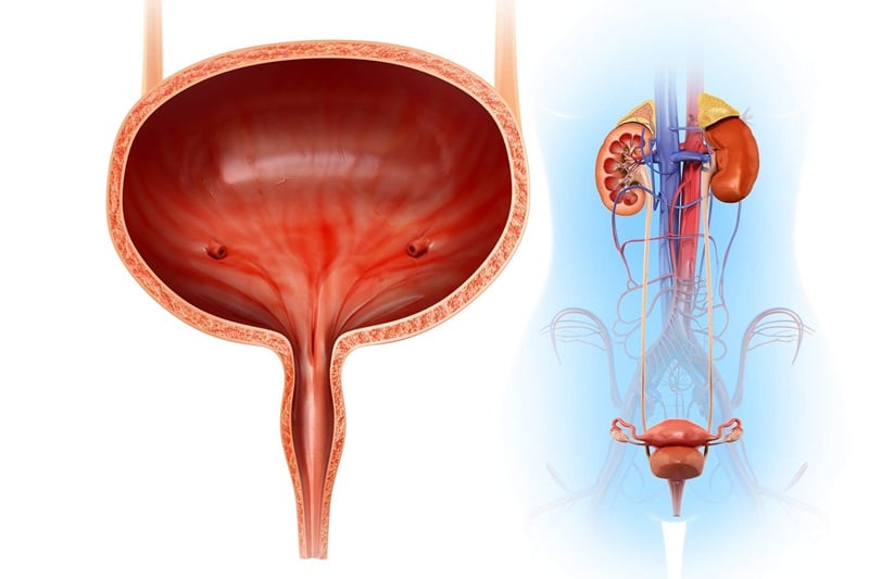 Cattive abitudini che causano calcoli alla vescica - Immagine 1. Thói quen xấu gây sỏi bàng quang - Ảnh 1.