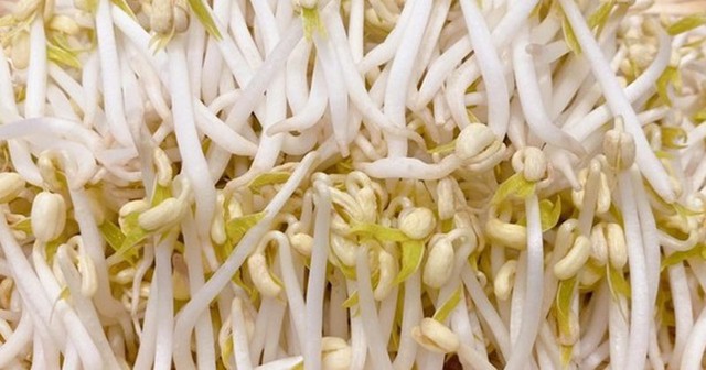 Le persone con insufficienza renale possono mangiare i germogli di soia e, in caso affermativo, come dovrebbero essere utilizzati? - Immagine 2.