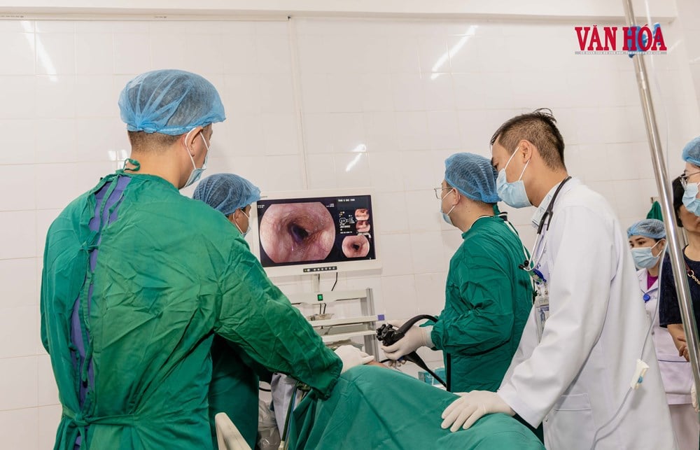 Opportunità di sopravvivenza per i poveri di Quang Tri - foto 6