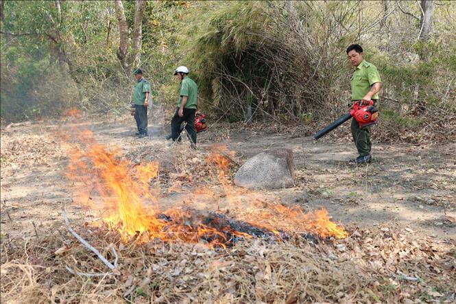 幅広い爆発が増加し、多くの健康上のリスクと火災のリスクをもたらしています。
