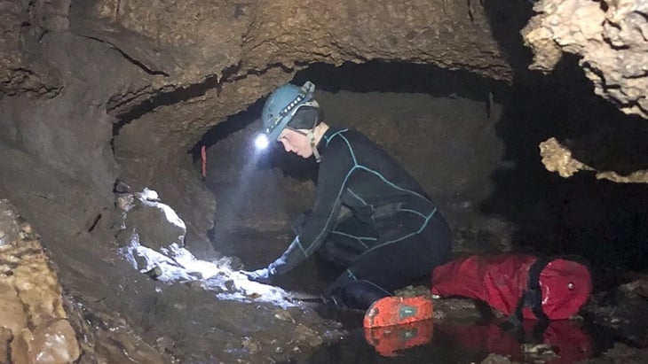 テキサス州の洞窟で10万年前に発見された化石から、驚くべき事実が