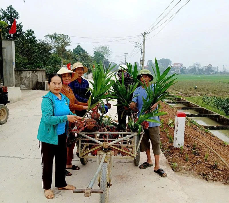ປັບປຸງເສັ້ນທາງໃນຊົນນະບົດໃຫ້ສວຍງາມ