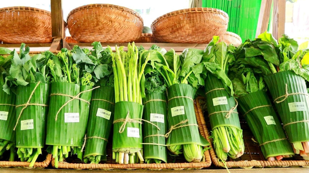 Tiêu dùng xanh từ căn bếp đô thị: Khi phụ nữ thay đổi từng bữa ăn- Ảnh 2.