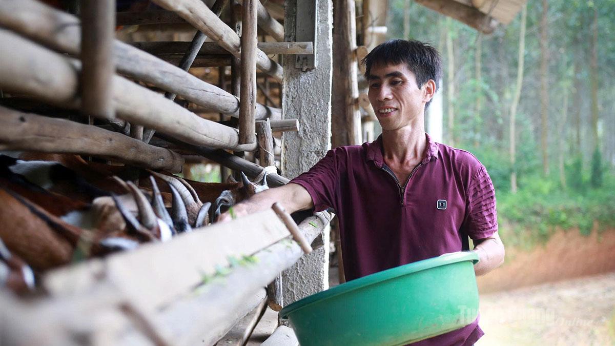 People in Phu Luong commune are taking care of their family's goat herd.