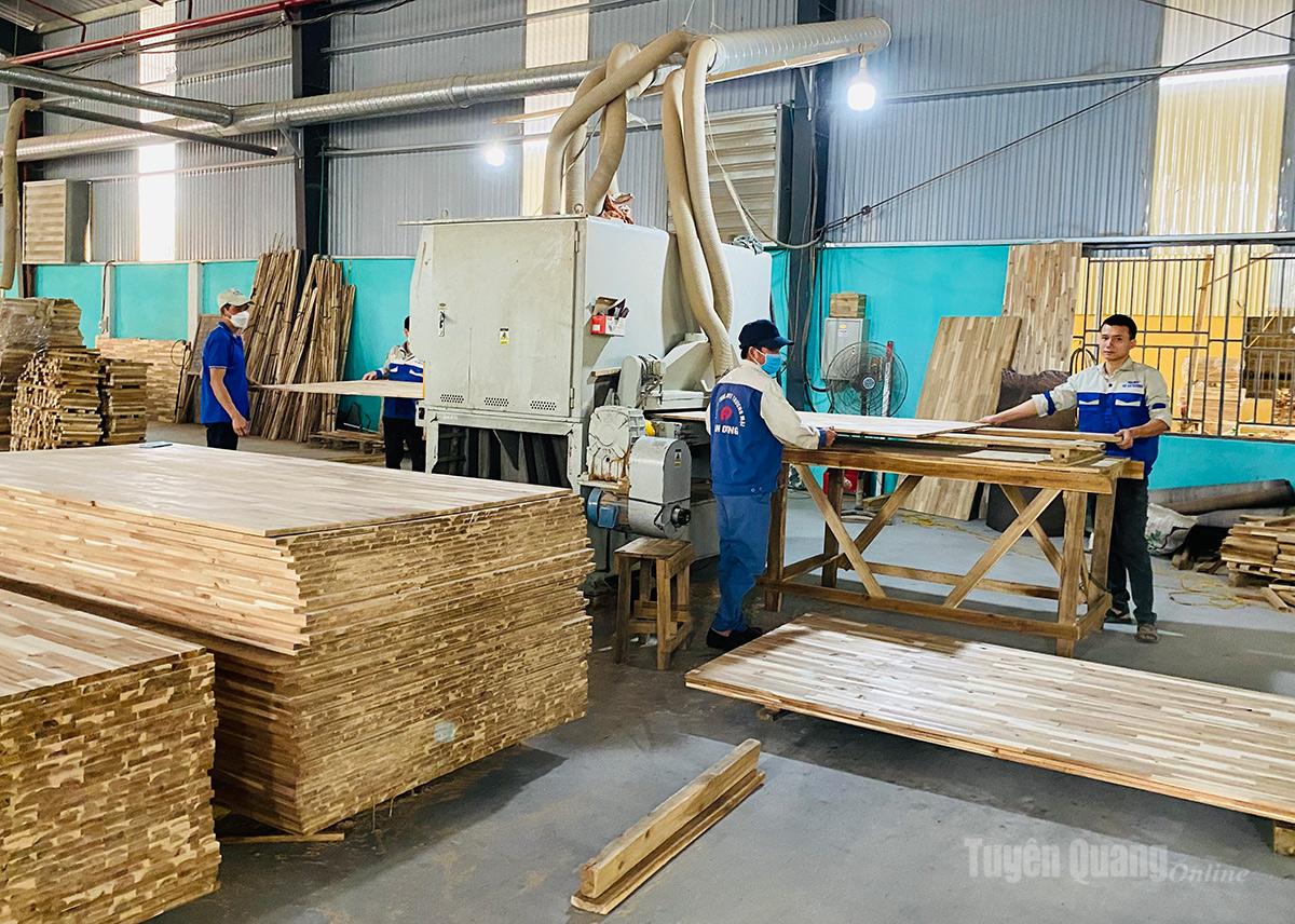 Production of wood for export to the Taiwanese market at Tuyen Quang Mechanical Joint Stock Company.
