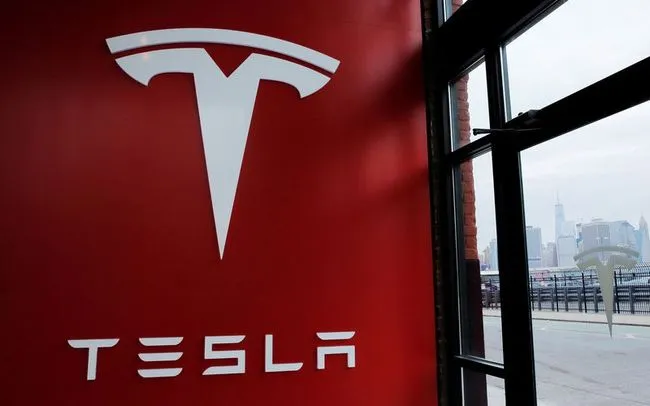 Con tàu Tesla đang gặp khó?- Ảnh 1.