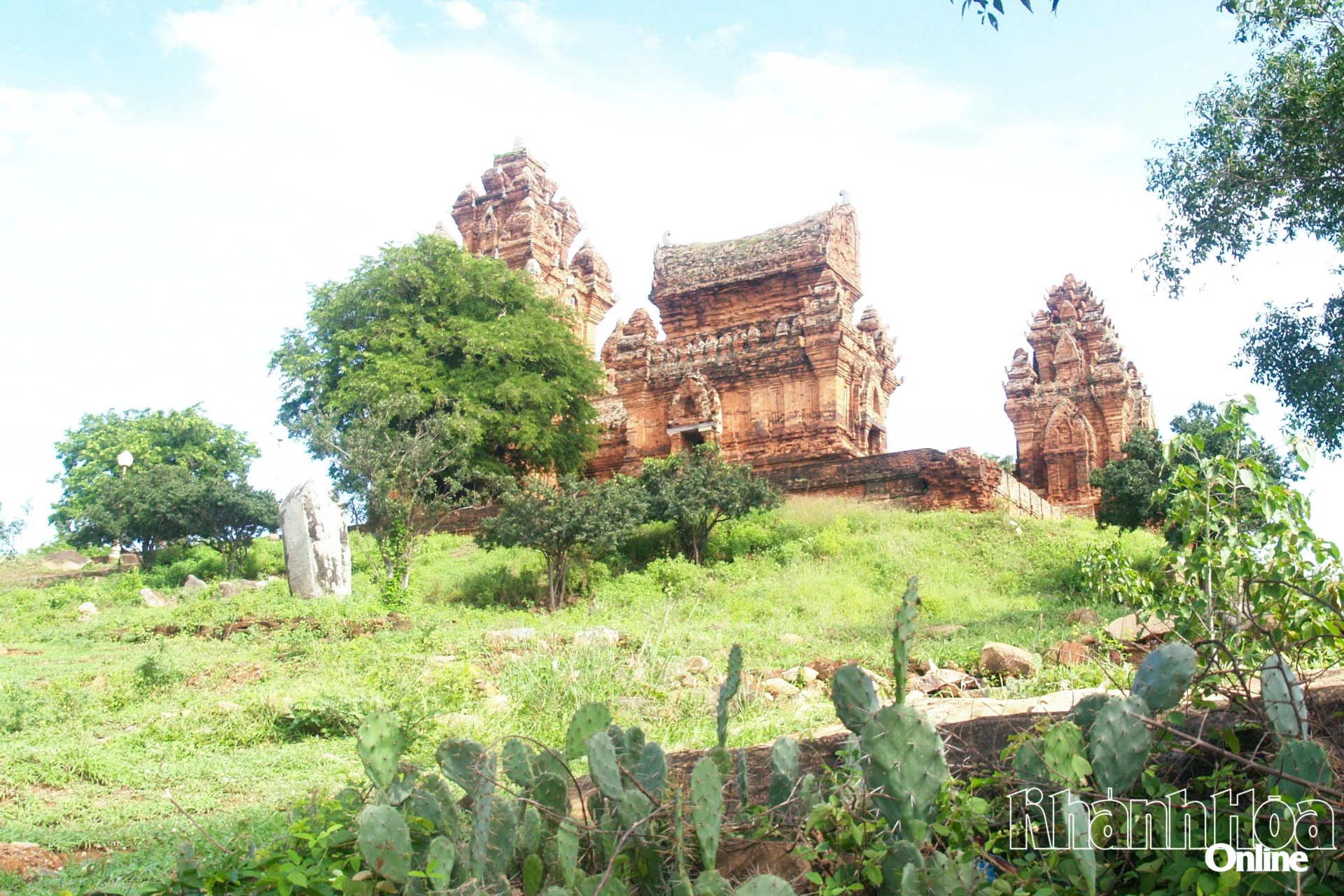Cacti ຈະເລີນເຕີບໂຕໄດ້ດີໃນພື້ນທີ່ທີ່ມີແສງແດດ.