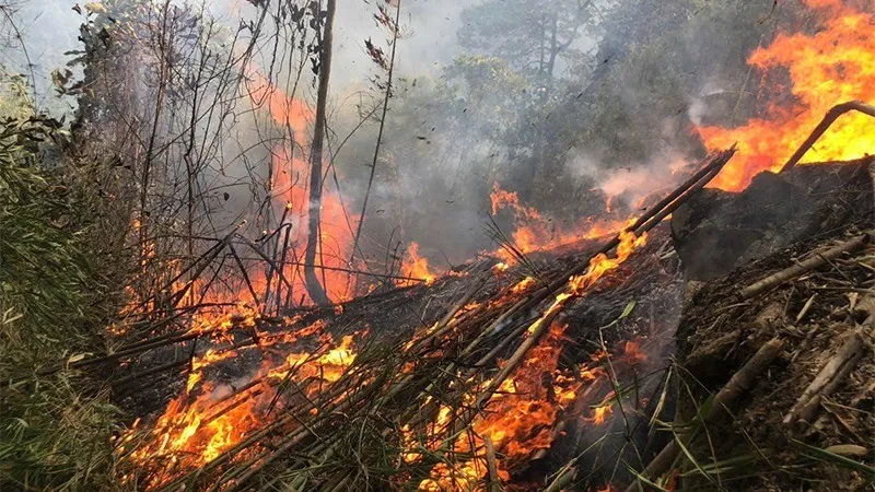 In precedenza, nella provincia di Tuyen Quang si era verificato un incendio boschivo.