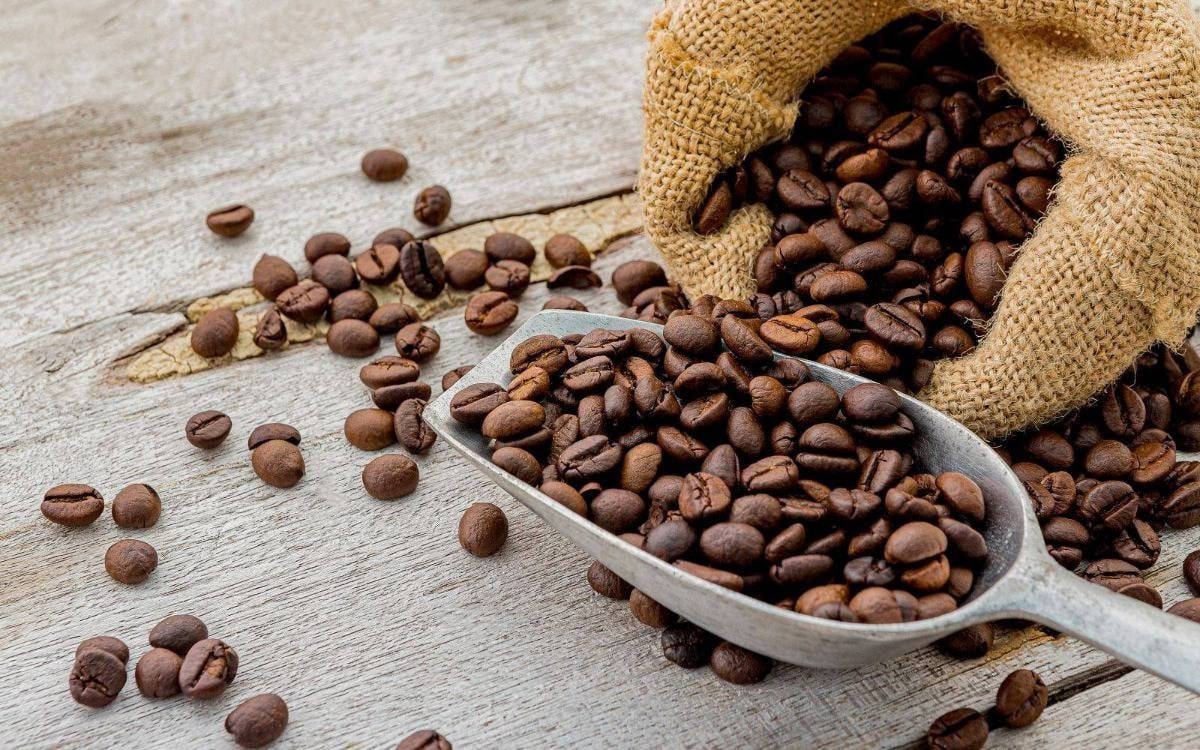 Preços do café hoje, 8 de abril de 2026: Redução de 4000 VND em todos os setores.