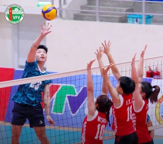 バレーボール全国選手権での魅力的な試合とその楽しみ方
