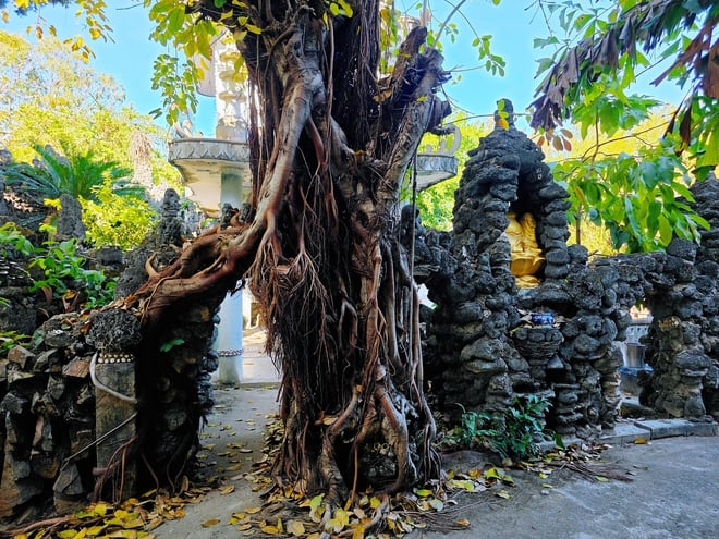 ຄົ້ນພົບວັດຕືວັນ, ຜົນງານຊິ້ນເອກທີ່ເຮັດຈາກປະກາລັງ ແລະ ເປືອກຫອຍ - ຮູບທີ 17. Khám phá chùa Từ Vân, kiệt tác từ san hô và vỏ ốc- Ảnh 17.