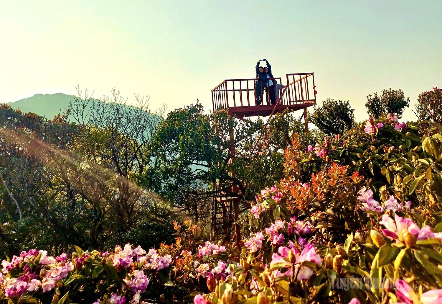 Oggi, visitando Tuyen Quang, i turisti possono deliziarsi con la vista dei vivaci colori dei fiori bianchi, rosa e gialli che adornano ogni cosa, come se vestissero montagne e foreste con un abito splendente e fresco.