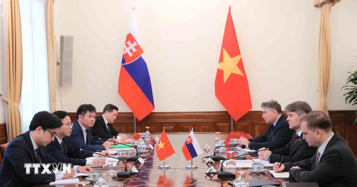 Consultations politiques Vietnam Slovaquie