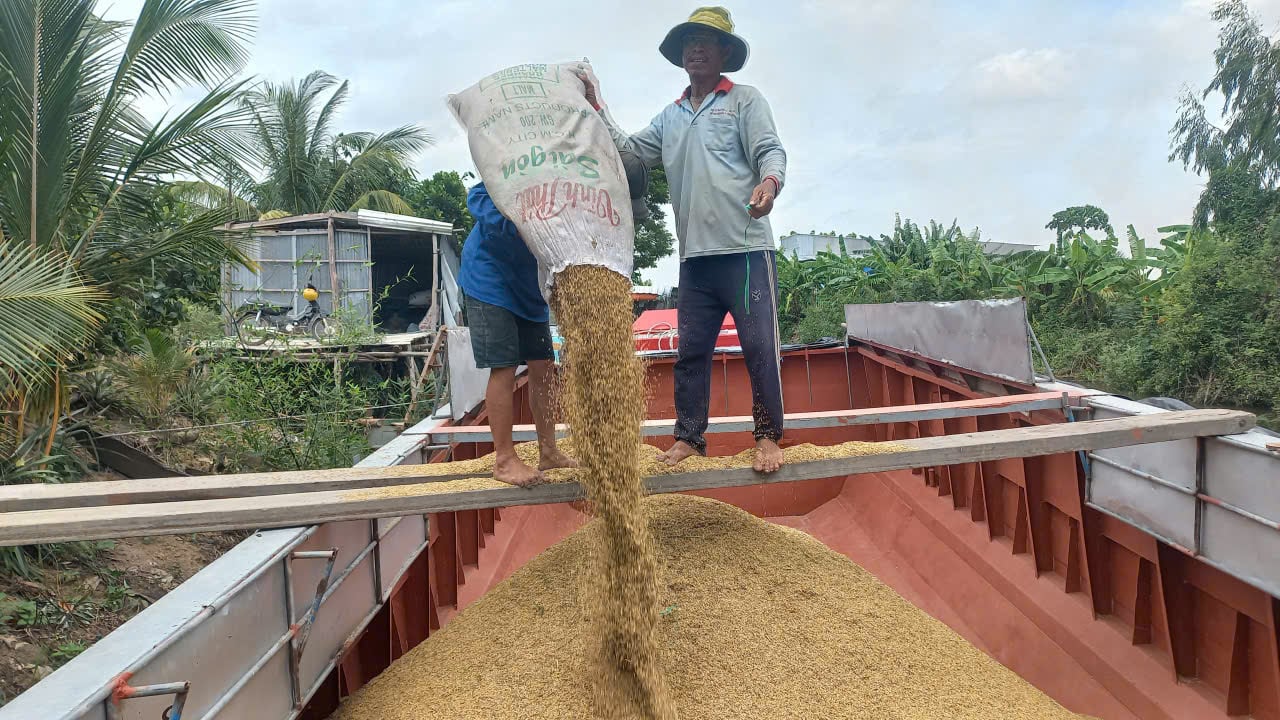 Los precios del arroz aumentaron entre 200 y 300 VND/kg.