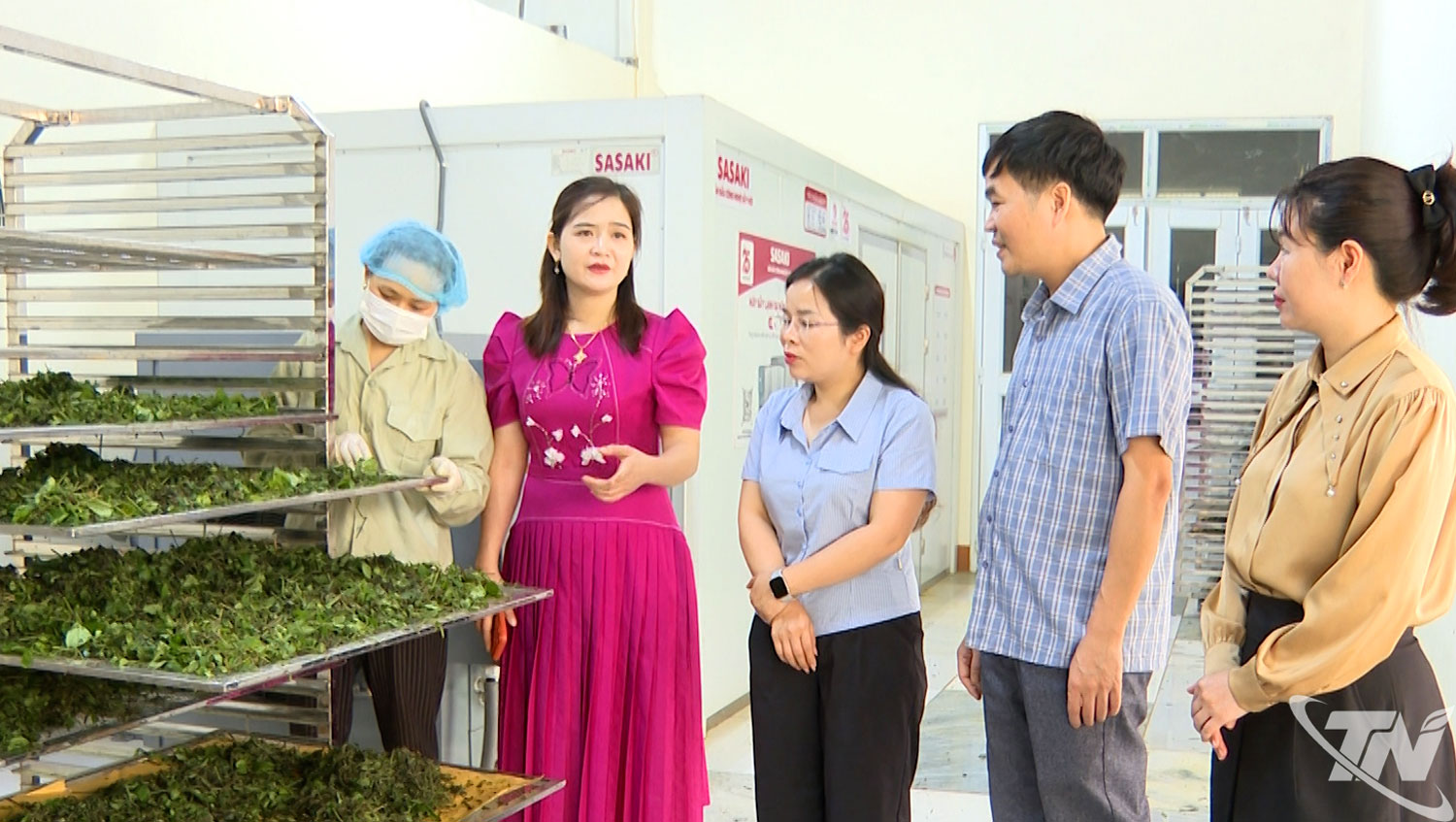 BK FOODS High-Tech Agricultural Cooperative is linked with hundreds of households growing medicinal plants.