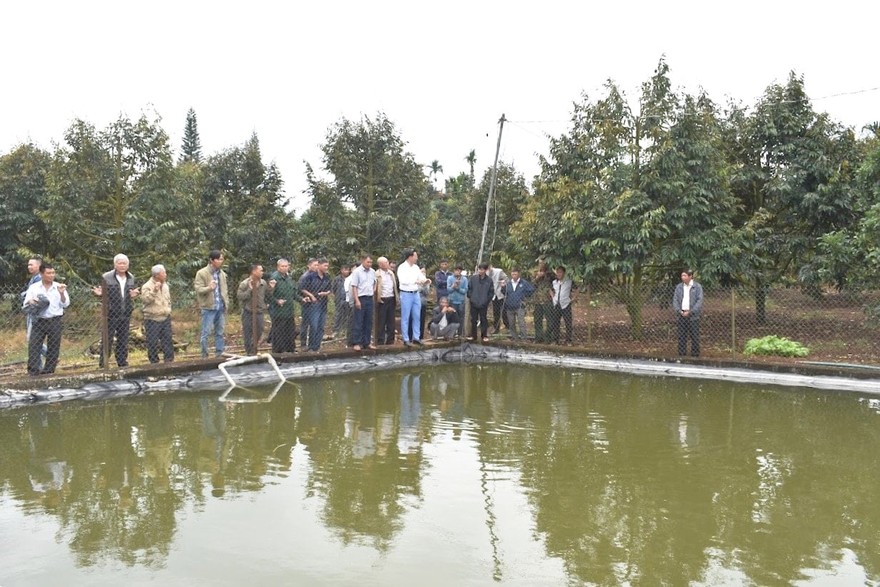 ننگ-دان-کان-چو-دونگ-تیچ-ترو-نووک-تووی-دام-بائو-سینه-ترونگ-چو-کای-ترونگ-خی-موآ-خو-هان-کئو-دای-1-.jpg