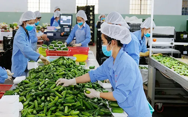 Doanh nghiệp gặp khó với chất