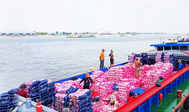 Il riso vietnamita sta thuế suất 0% - Ảnh 1.