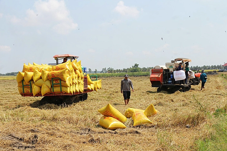 Il riso vietnamita sta thuế suất 0% - Ảnh 2.