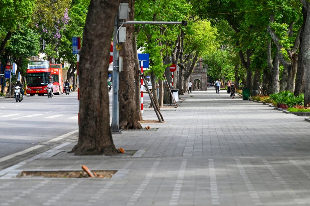 Cahaya matahari yang lembut di jalan tengah Hanoi. Foto: Giang Huy