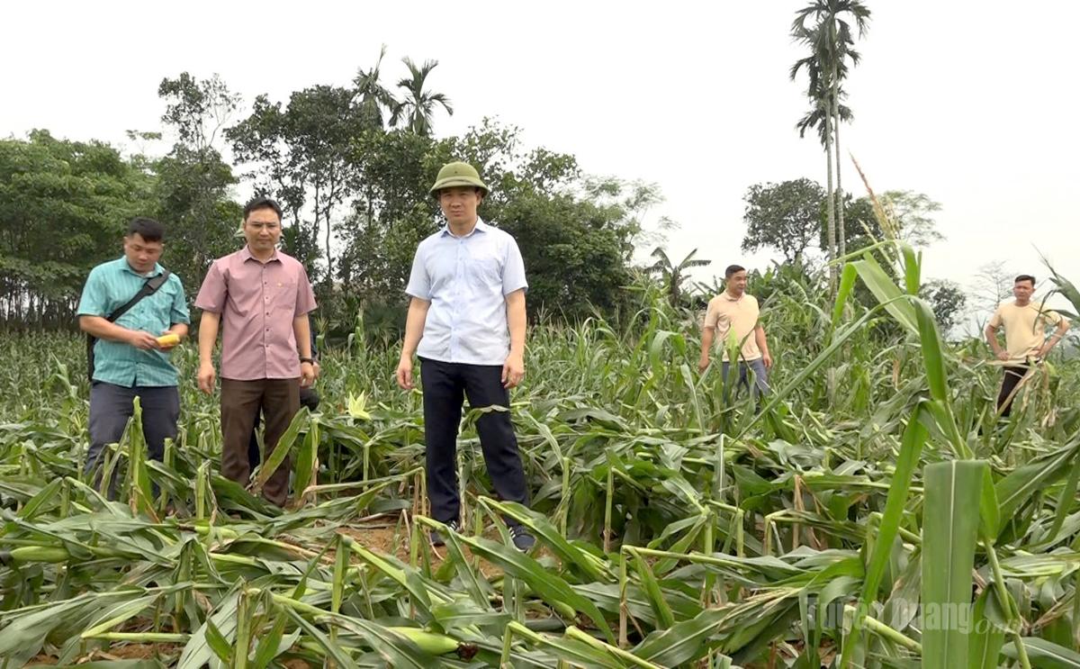 I leader della comune di Bac Quang ispezionano i danni subiti nel villaggio di Hoang Van Thu.