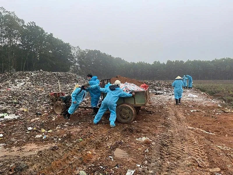 Criando impulso para o desenvolvimento sustentável da pecuária.
